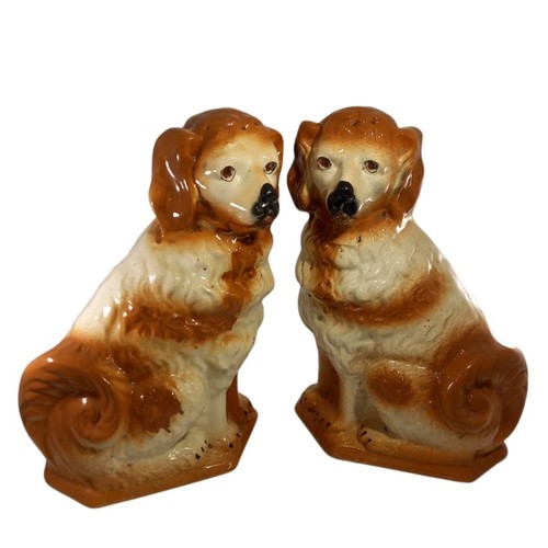 Mid century staffordshire - century,