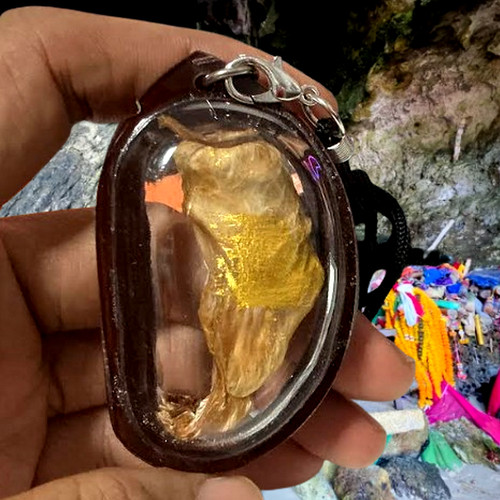 Amulet placenta cat thai - amulet,