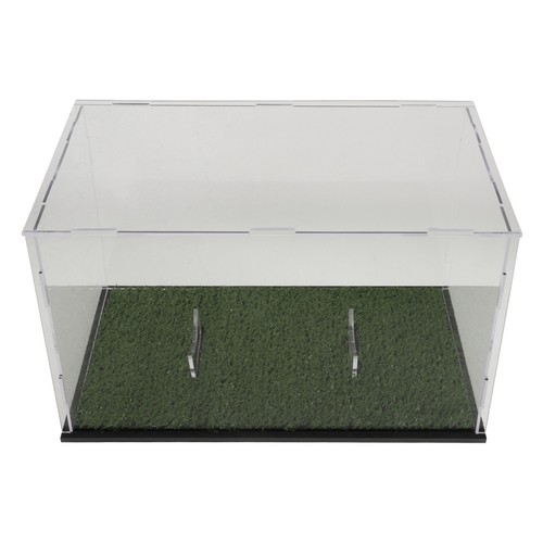 Rugby display case ball - rugby,