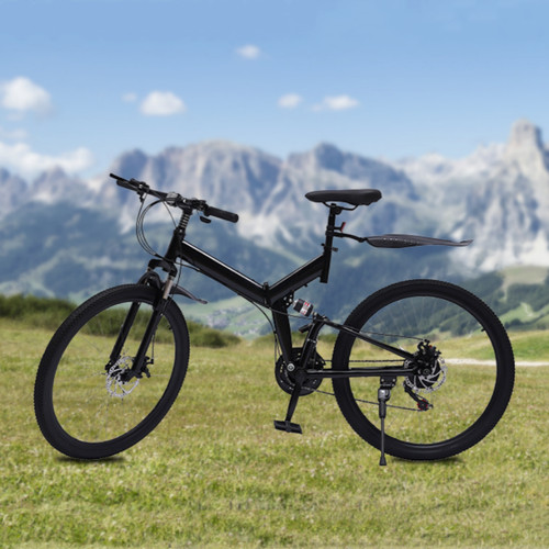 Folding mountain bike - folding,