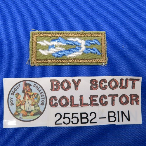 Boy scout silver beaver award - boy,
