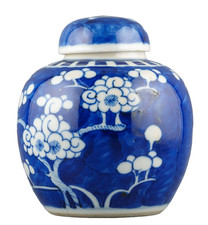 Chinese Porcelain Ginger Jar