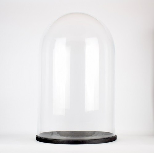 Large glass dome cover - large, cloche