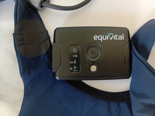 Equivital eq02 lifemonitor - equivital, eq02+