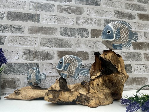 Coral tropical blue fish - 3,