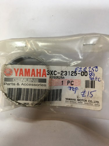 Yamaha fzr250 etc fork - fzr250,