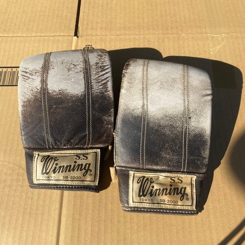 Winning boxing bag - bag, punching