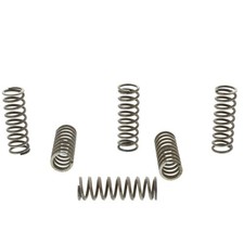 TRW CLUTCH SPRINGS KIT (6