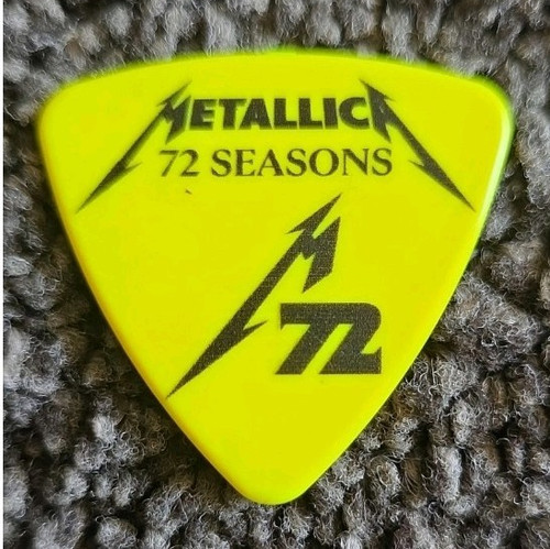 Metallica seasons guitar - metallica,
