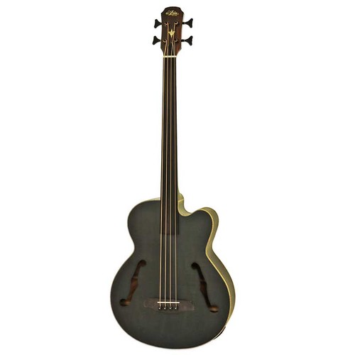 Electro acoustic medium - medium, scale
