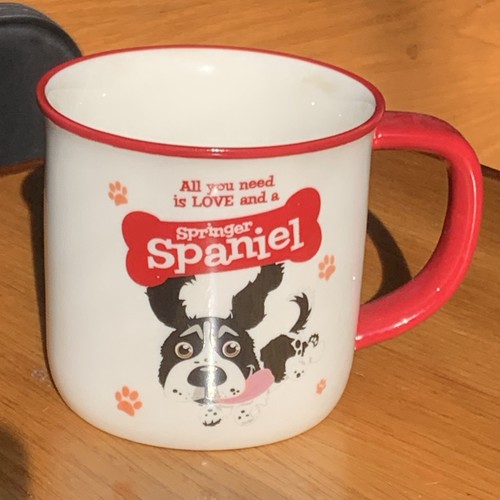 Wags whiskers all you need - you,