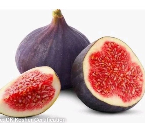 Very healthy fig - ,