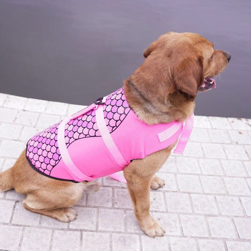 Dog life jacket pet safety - life,
