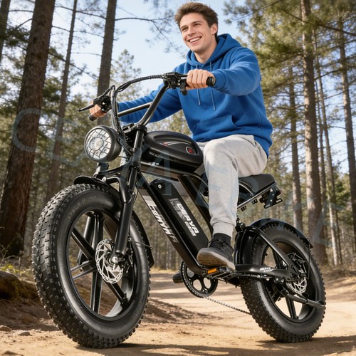 Electric bike adults - adults, 20x4.0