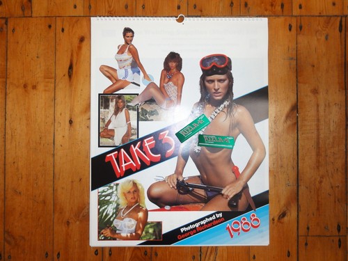 Vintage 1988 page calendar - vintage,