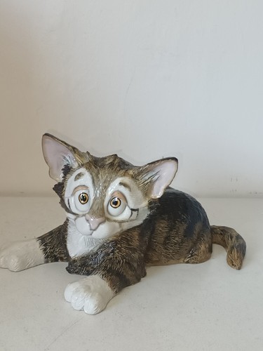 Arora design pets - design, with