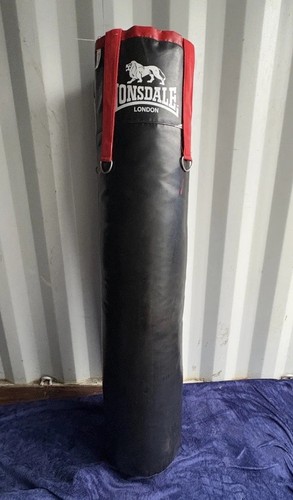 Everlast punch bag - everlast,
