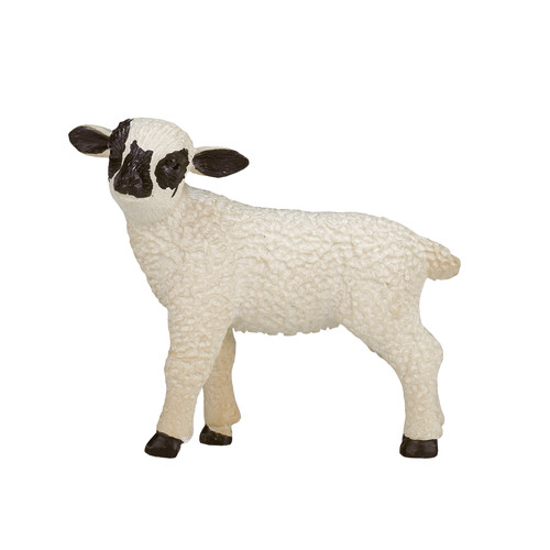 Farm animal figure black - animal, black-faced