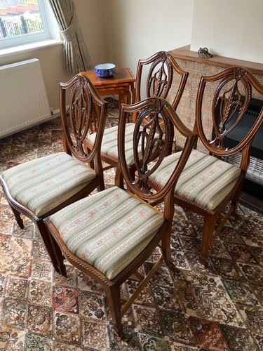 Vintage yew dining chairs set - dining,