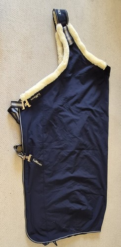 Lemieux walker rug - rug, xl