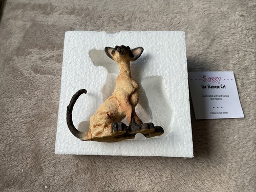 Kool katz limited edition - limited,