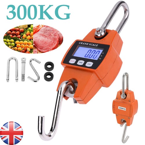 Mini crane scale weight 300kg - crane,