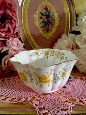 Wileman Foley Pre Shelley