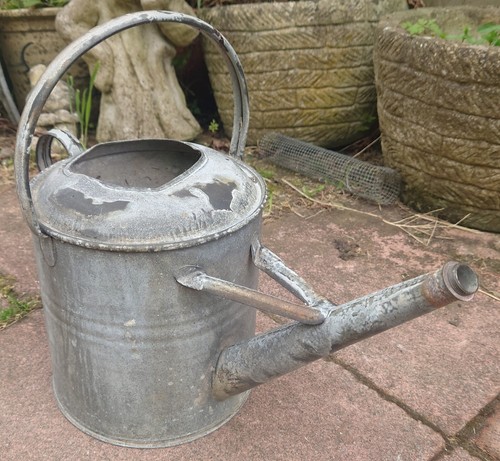 Vintage galvanised gallon - 1.5,