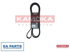 V-Ribbed Belt for CHRYSLER