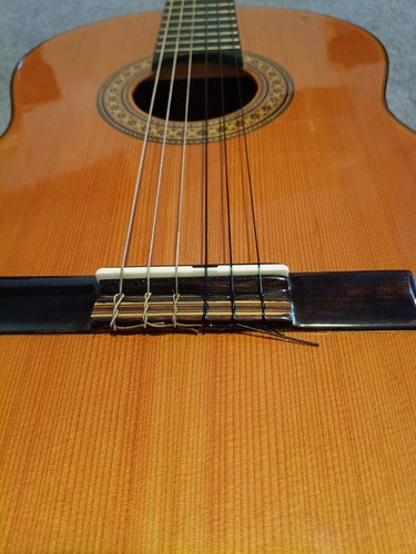 Antonio carvalho luthier made - antonio,