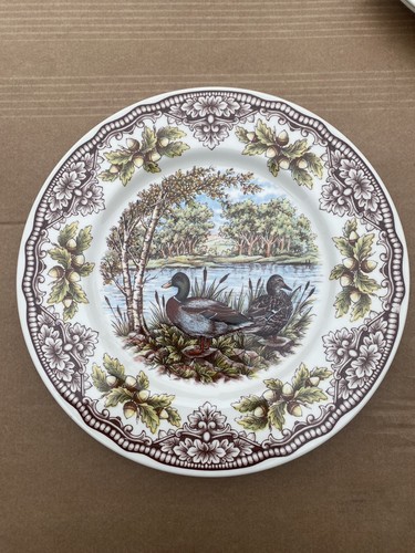 Royal stafford homeland ducks - royal,