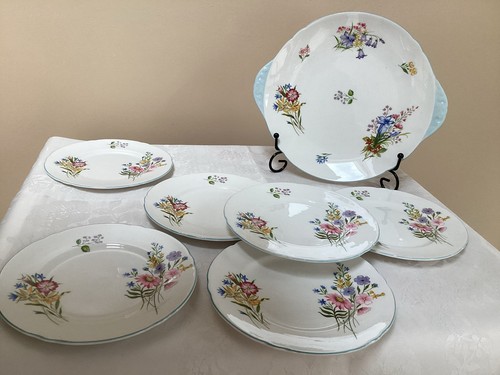 Shelley fine bone china - fine, wild