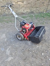 Saxon Baroness  26inch 66cm