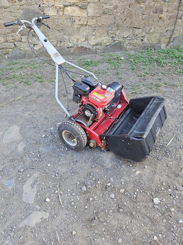 Saxon baroness 26inch - baroness, 66cm