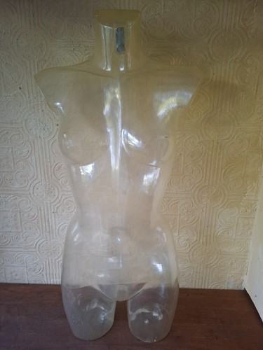 Clear plastic female torso - plastic,