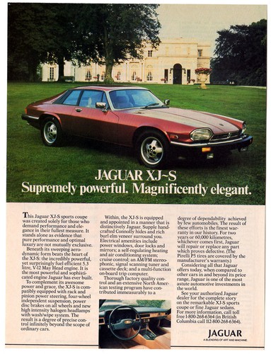1984 jaguar sports - jaguar, xj-s