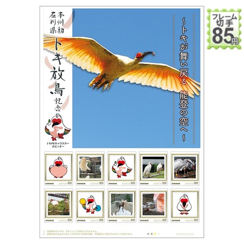 Crested ibis return noto - ibis,