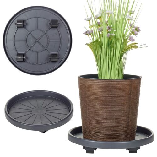 Black plastic garden flower - garden,