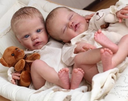 New twins npk inch - npk, primrose