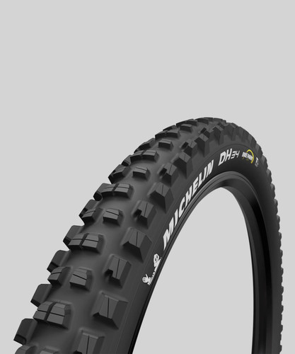 Michelin dh34 bike park - bike, tlr