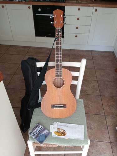 Ashbury baritone ukulele - ashbury,
