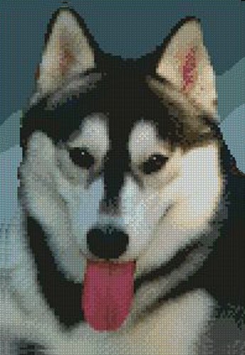 Siberian husky cross stitch - siberian,