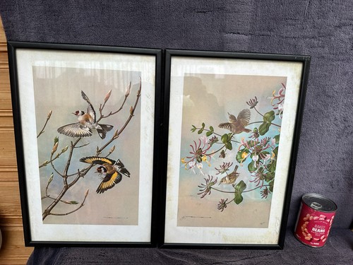 Vintage pair framed - of,