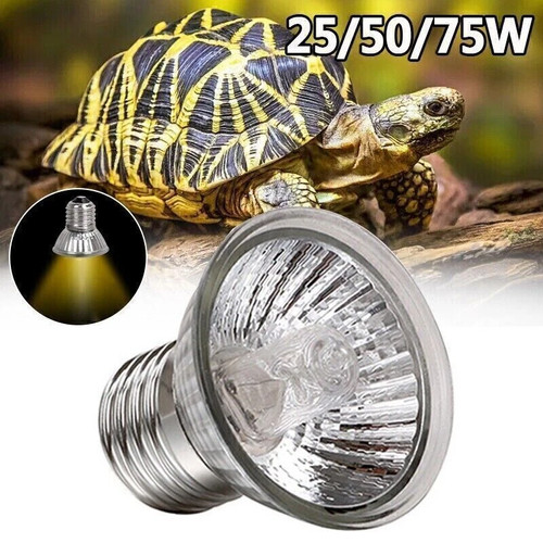 3pc reptile light - 3pc, bulb
