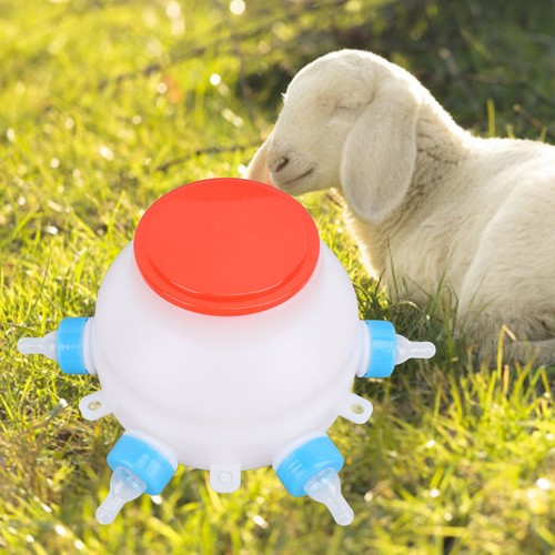 Lamb milk feed bucket - milk,