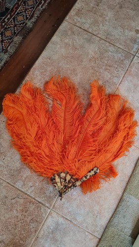 Duvelleroy ostrich feather fan