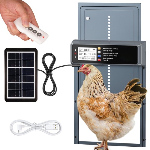Automatic solar chicken coop - chicken,