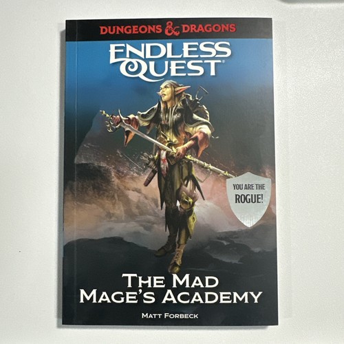 Dungeons dragons endless - &,