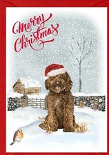 Labradoodle / Doodle Dog A6