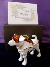 Beautiful Russel Terrier Dog